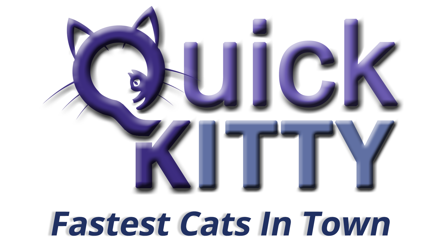 Quick Kitty | Fastest Cats in Town